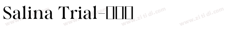 Salina Trial字体转换